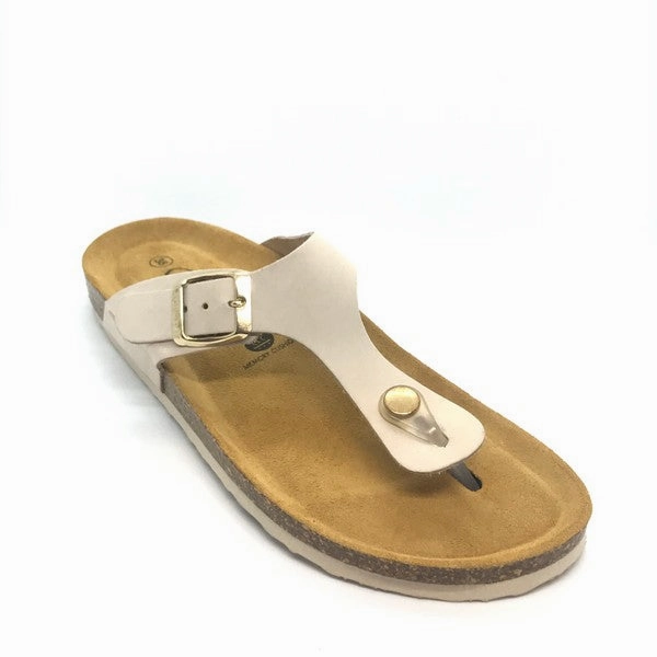 PLAKTON 671