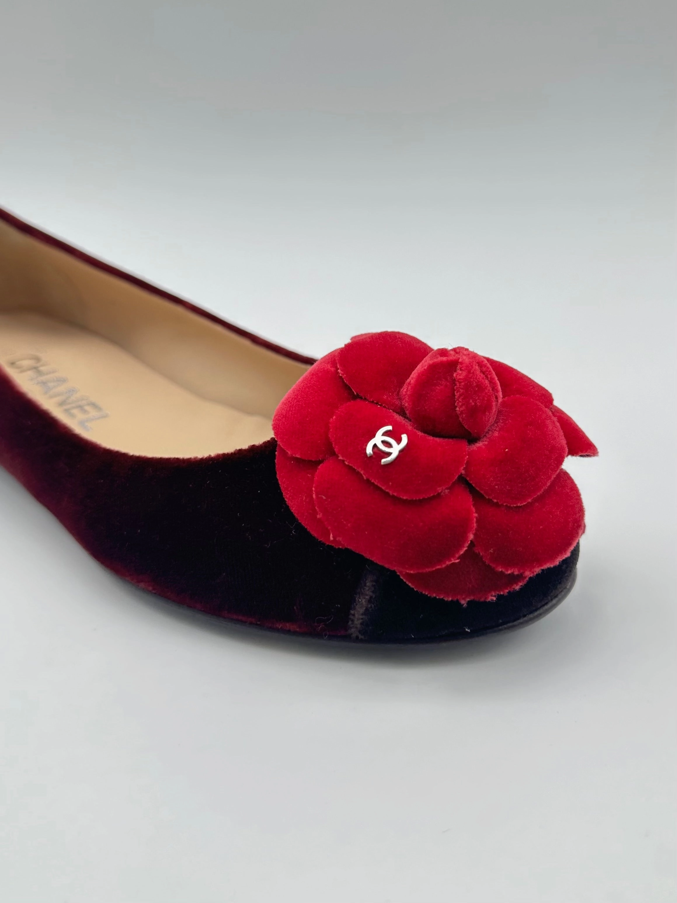 Velvet Ballet Flat