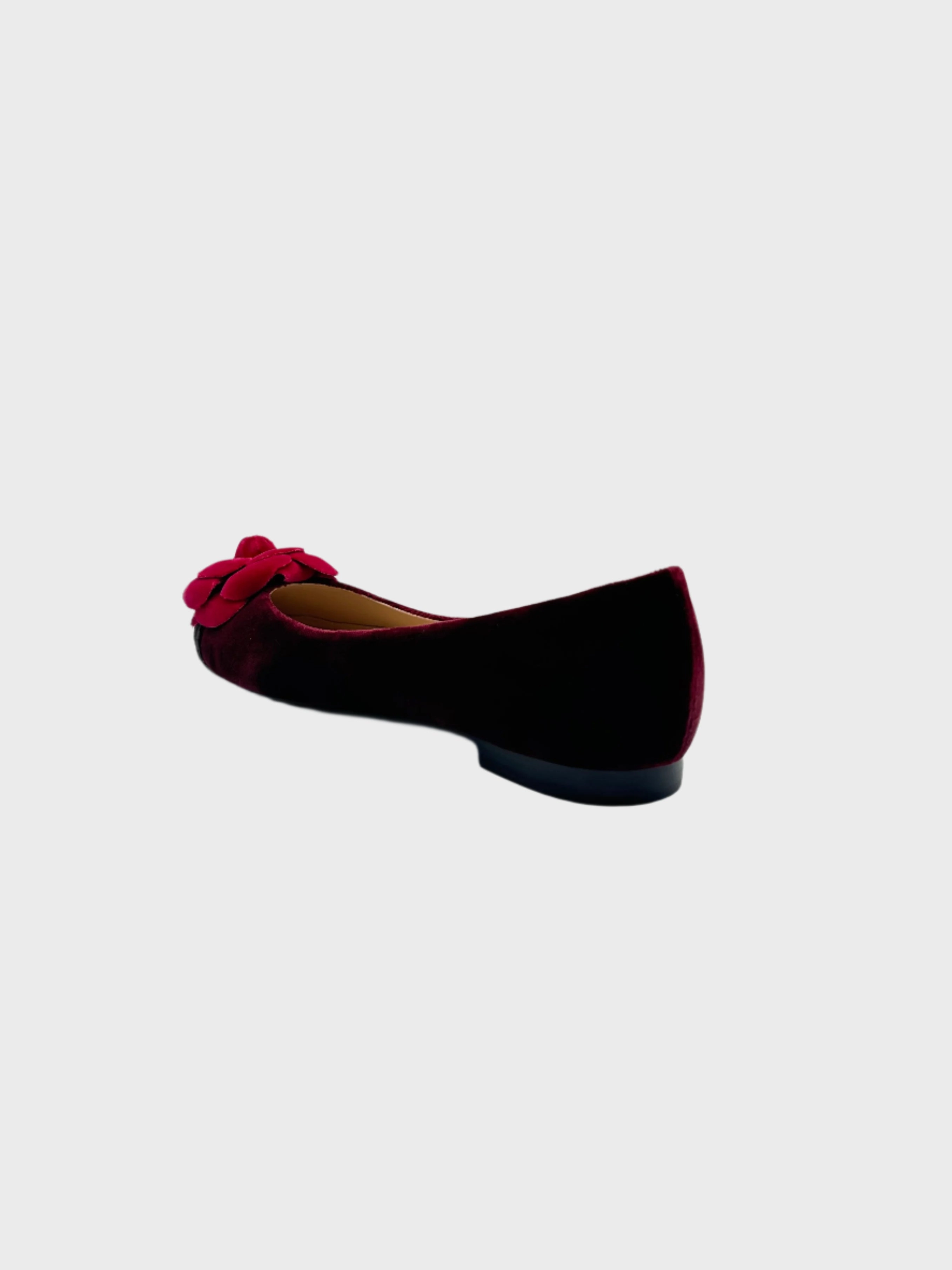 Velvet Ballet Flat