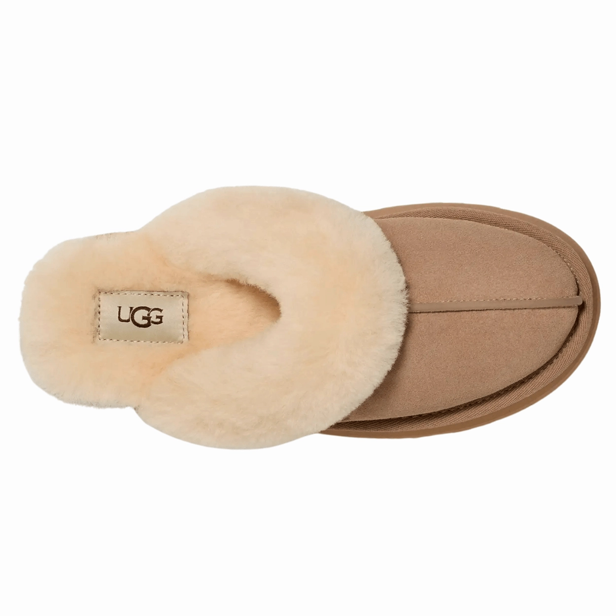 Women's Disquette