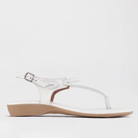Women's Thong Flat Sandal in White Multi - 10732